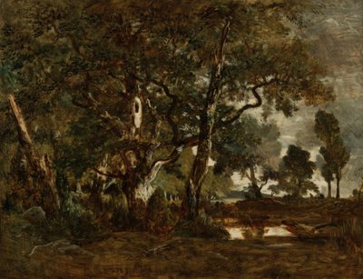 Wald von Fontainebleau, Gruppe hoher Bäume mit Blick auf die Ebene von Clair-Bois am Rand von Ba... von Pierre Etienne Theodore Rousseau